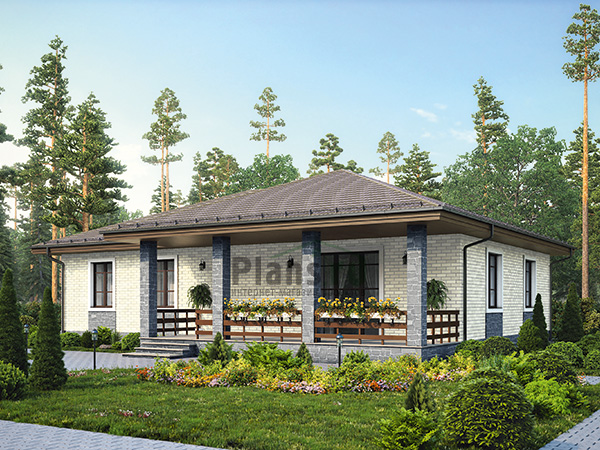 ���� ������� ���� �� ������� 46-34