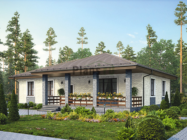 ���� ������� ���� �� ���������� 59-94