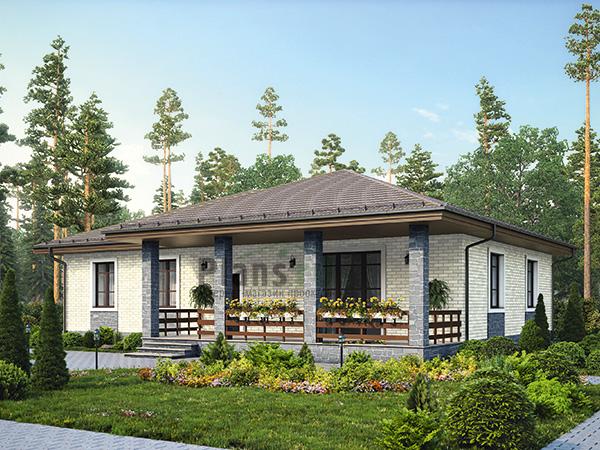 ���� ������� ���� �� ���������� 65-67